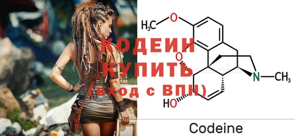 шишки Богородицк