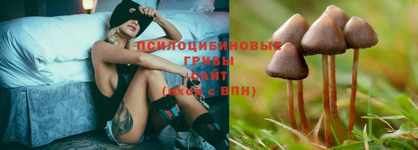 метамфетамин Богданович