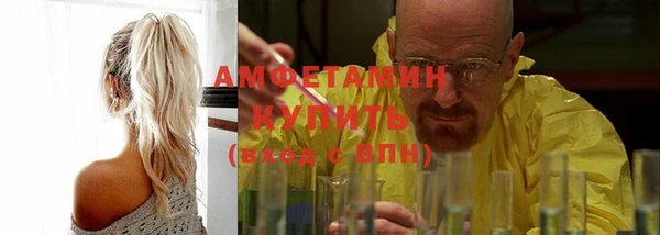 шишки Богородицк