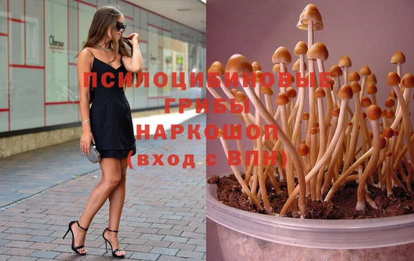 наркотики Богородск