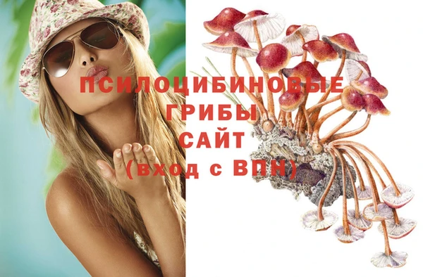 шишки Богородицк
