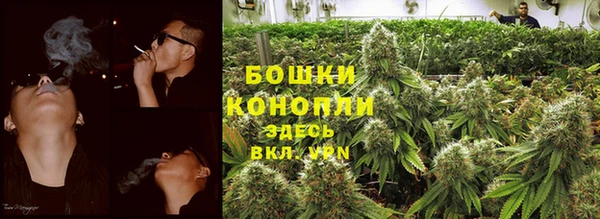 шишки Богородицк