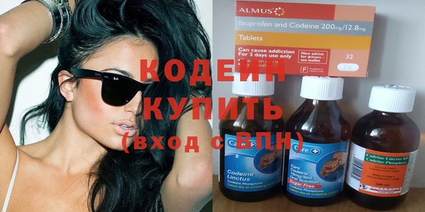 шишки Богородицк