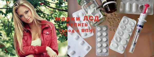 шишки Богородицк