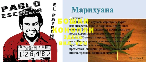 шишки Богородицк